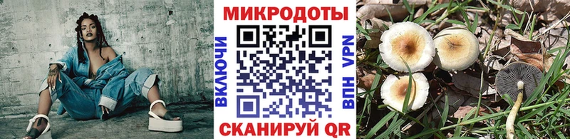 Купить  Красноперекопск  Псилоцибиновые грибы Cubensis 